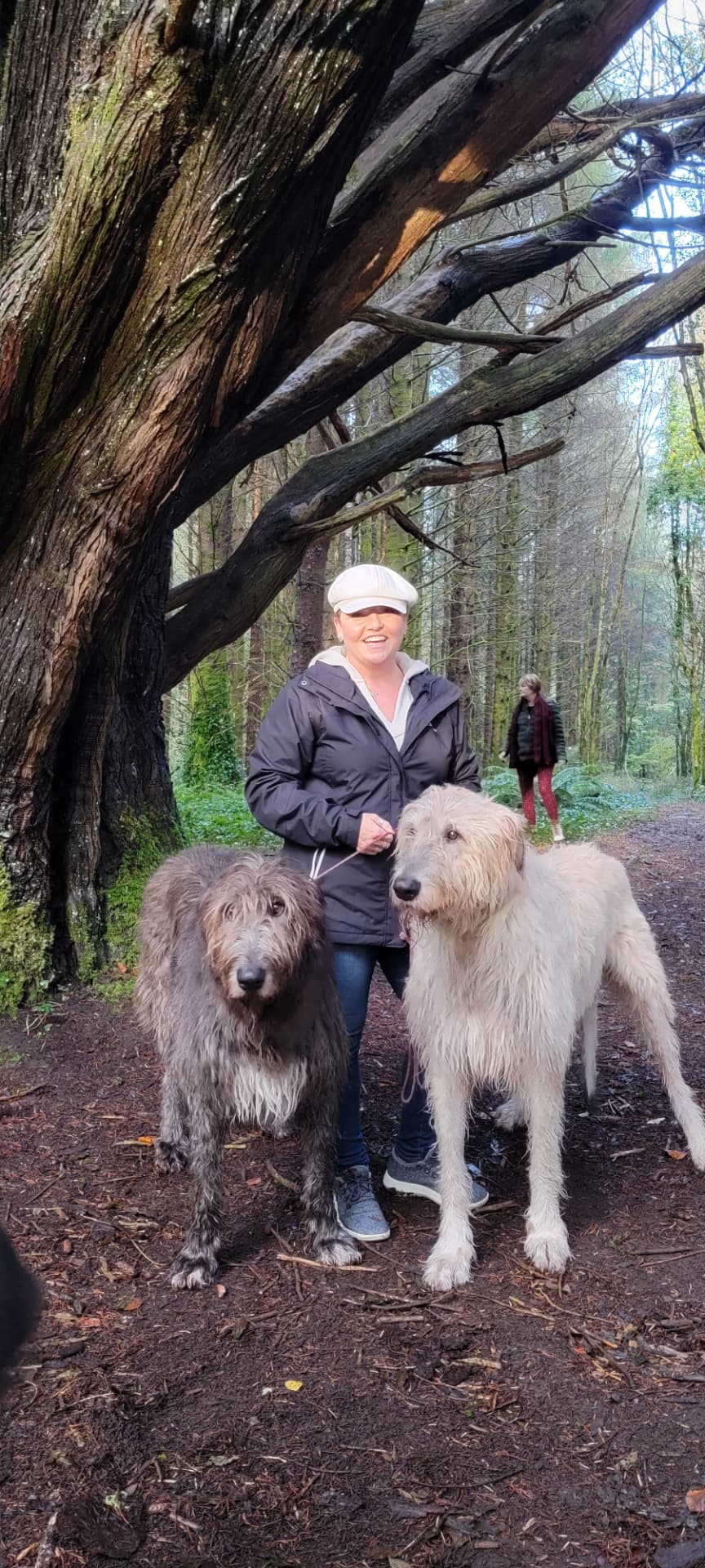 Tiffany Watt with the resident Irish Wolfhounds at Ashford Castle